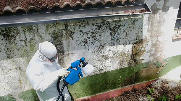 Trusted Bathroom Mold Removal service in Allensville, PA - Cheap Mold Removal